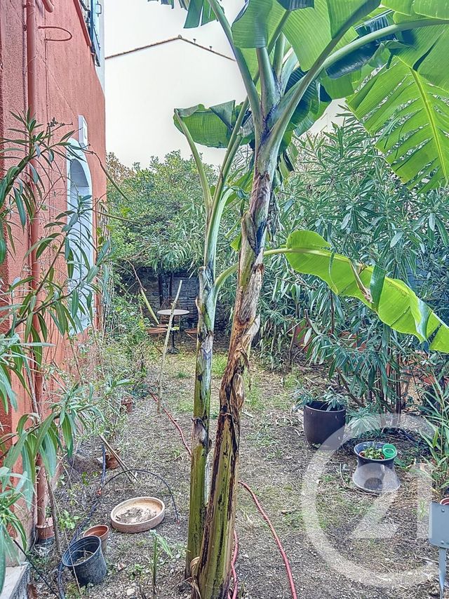 maison à vendre - 14 pièces - 296.0 m2 - AMELIE LES BAINS PALALDA - 66 - LANGUEDOC-ROUSSILLON - Century 21 Agence Des Cerisiers