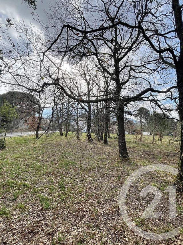 terrain à vendre - 1300.0 m2 - MONTESQUIEU DES ALBERES - 66 - LANGUEDOC-ROUSSILLON - Century 21 Agence Des Cerisiers