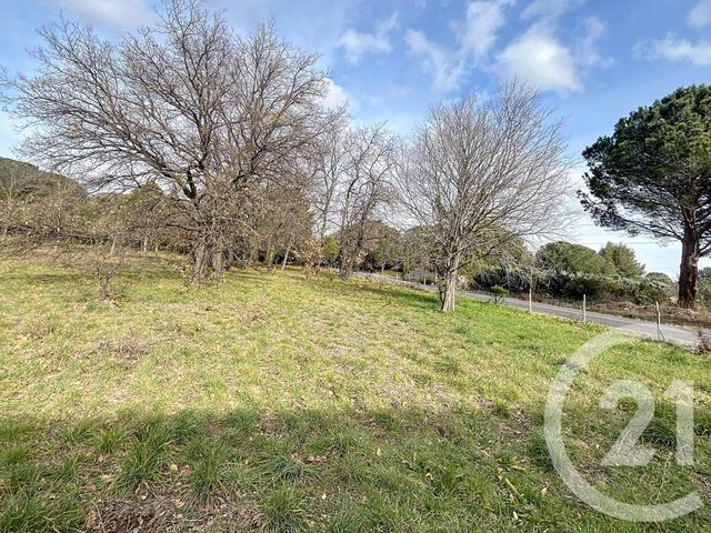 terrain à vendre - 1300.0 m2 - MONTESQUIEU DES ALBERES - 66 - LANGUEDOC-ROUSSILLON - Century 21 Agence Des Cerisiers