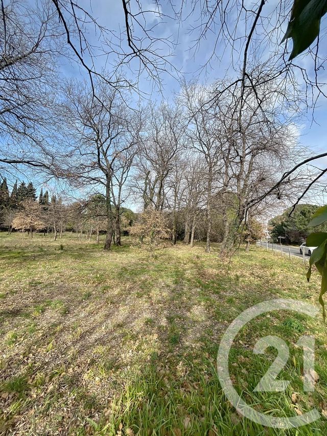 terrain à vendre - 1300.0 m2 - MONTESQUIEU DES ALBERES - 66 - LANGUEDOC-ROUSSILLON - Century 21 Agence Des Cerisiers