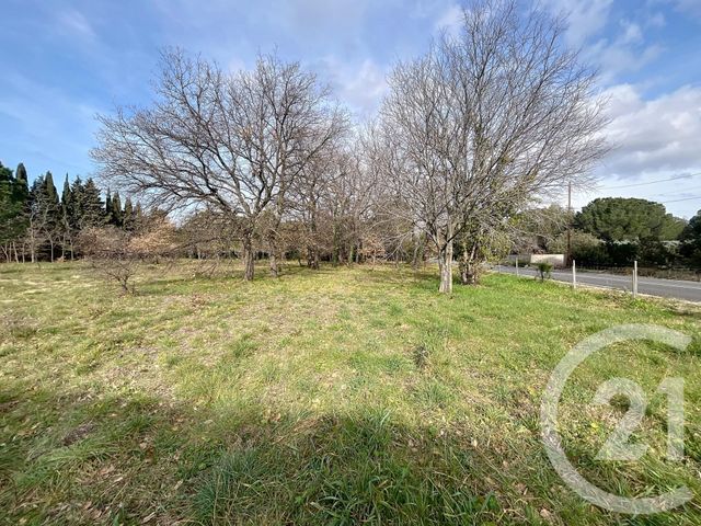 terrain à vendre - 1300.0 m2 - MONTESQUIEU DES ALBERES - 66 - LANGUEDOC-ROUSSILLON - Century 21 Agence Des Cerisiers