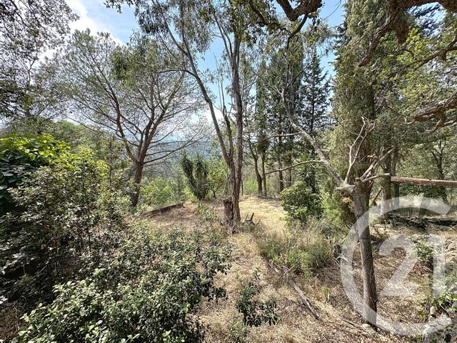 maison à vendre - 10 pièces - 337.75 m2 - OMS - 66 - LANGUEDOC-ROUSSILLON - Century 21 Agence Des Cerisiers