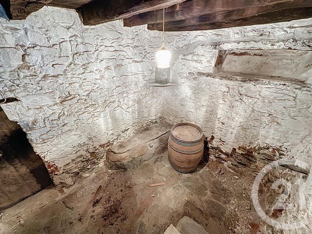 maison à vendre - 10 pièces - 337.75 m2 - OMS - 66 - LANGUEDOC-ROUSSILLON - Century 21 Agence Des Cerisiers