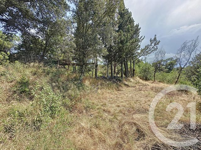 maison à vendre - 10 pièces - 337.75 m2 - OMS - 66 - LANGUEDOC-ROUSSILLON - Century 21 Agence Des Cerisiers