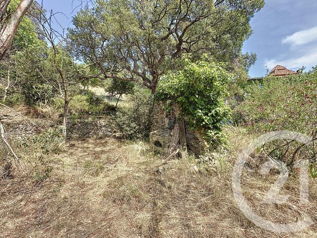 maison à vendre - 10 pièces - 337.75 m2 - OMS - 66 - LANGUEDOC-ROUSSILLON - Century 21 Agence Des Cerisiers