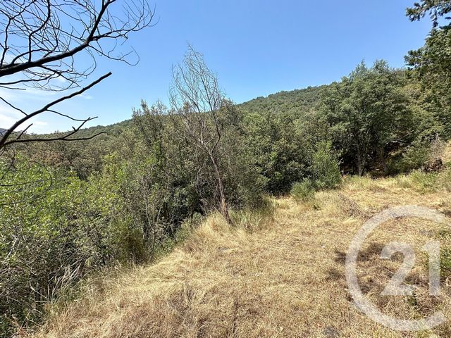 maison à vendre - 10 pièces - 337.75 m2 - OMS - 66 - LANGUEDOC-ROUSSILLON - Century 21 Agence Des Cerisiers