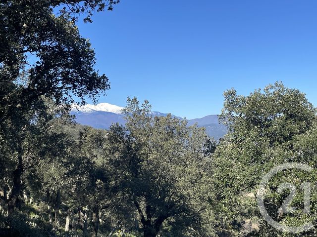 maison à vendre - 6 pièces - 160.0 m2 - LE BOULOU - 66 - LANGUEDOC-ROUSSILLON - Century 21 Agence Des Cerisiers