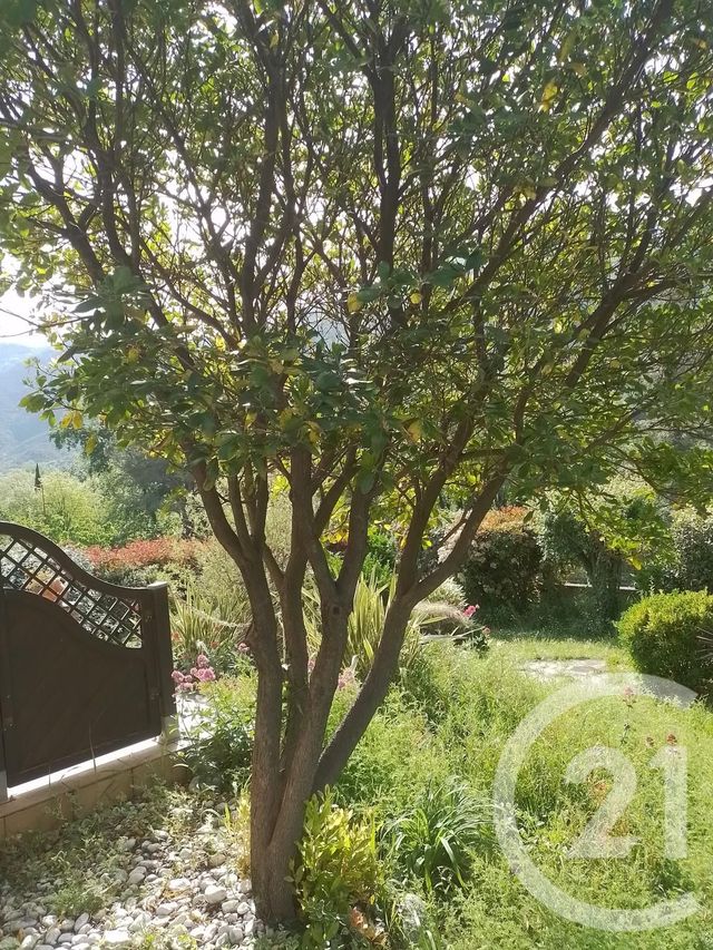 maison à vendre - 6 pièces - 151.0 m2 - ARLES SUR TECH - 66 - LANGUEDOC-ROUSSILLON - Century 21 Agence Des Cerisiers