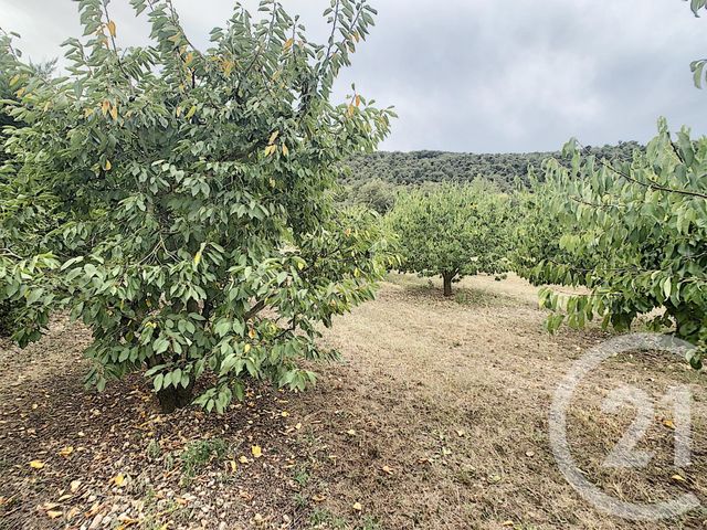 terrain à vendre - 2900.0 m2 - REYNES - 66 - LANGUEDOC-ROUSSILLON - Century 21 Agence Des Cerisiers