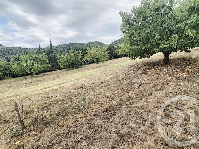 terrain à vendre - 2900.0 m2 - REYNES - 66 - LANGUEDOC-ROUSSILLON - Century 21 Agence Des Cerisiers