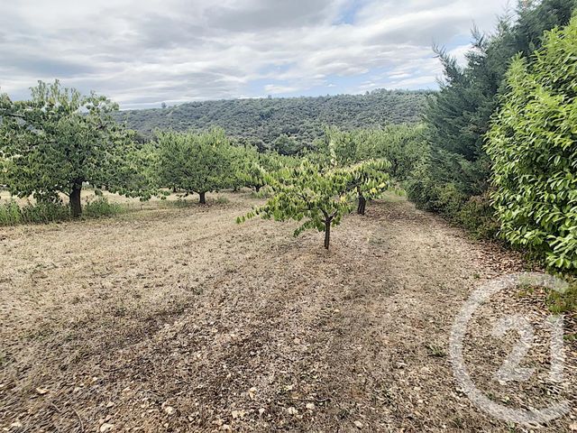 terrain à vendre - 2900.0 m2 - REYNES - 66 - LANGUEDOC-ROUSSILLON - Century 21 Agence Des Cerisiers