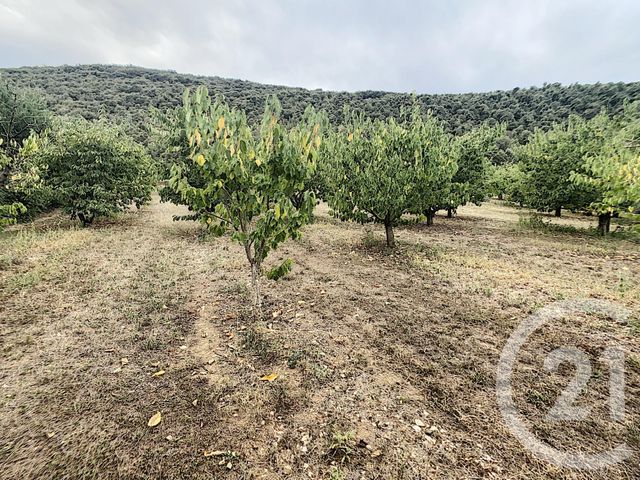 terrain à vendre - 2900.0 m2 - REYNES - 66 - LANGUEDOC-ROUSSILLON - Century 21 Agence Des Cerisiers