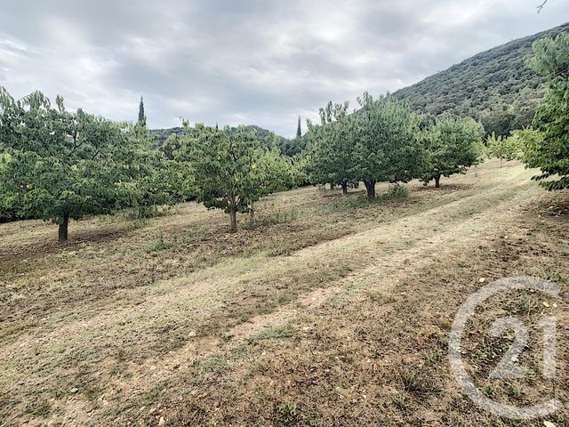 terrain à vendre - 2900.0 m2 - REYNES - 66 - LANGUEDOC-ROUSSILLON - Century 21 Agence Des Cerisiers