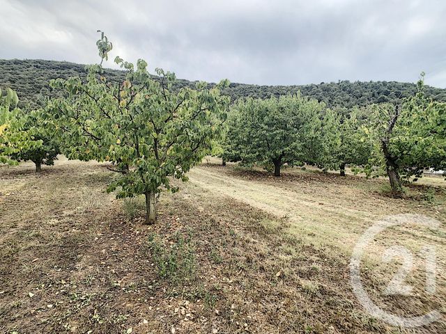 terrain à vendre - 2900.0 m2 - REYNES - 66 - LANGUEDOC-ROUSSILLON - Century 21 Agence Des Cerisiers