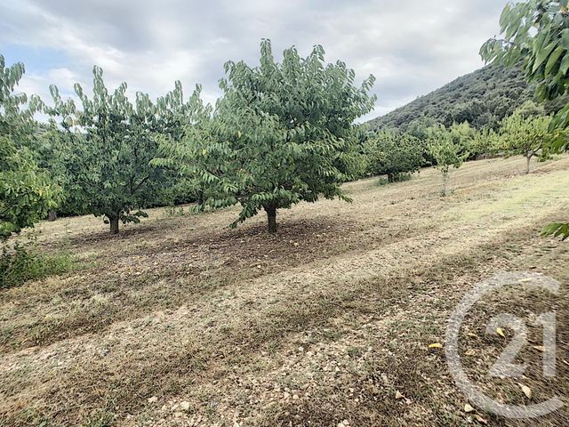 terrain à vendre - 2900.0 m2 - REYNES - 66 - LANGUEDOC-ROUSSILLON - Century 21 Agence Des Cerisiers