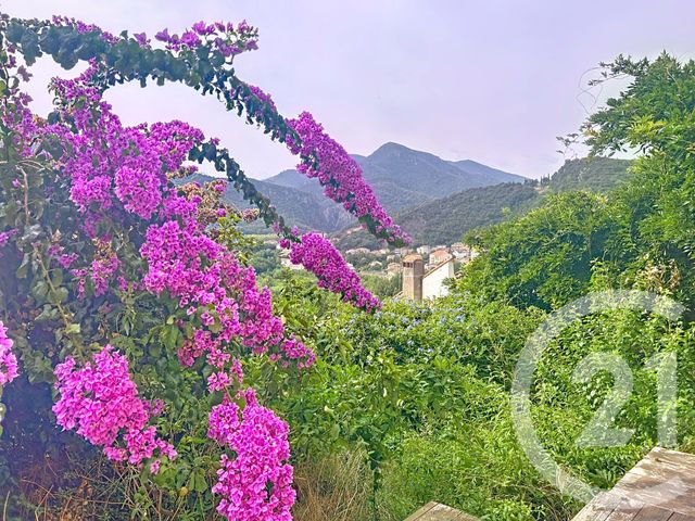 Afficher la photo en grand maison à vendre - 8 pièces - 161.5 m2 - AMELIE LES BAINS PALALDA - 66 - LANGUEDOC-ROUSSILLON - Century 21 Agence Des Cerisiers