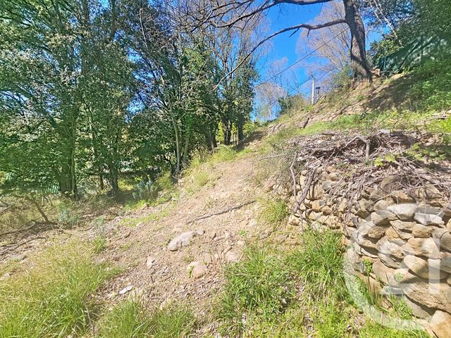 terrain à vendre - 1654.0 m2 - MAUREILLAS LAS ILLAS - 66 - LANGUEDOC-ROUSSILLON - Century 21 Agence Des Cerisiers