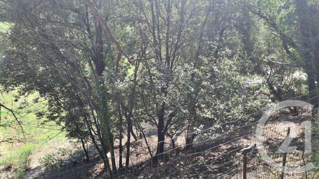 Afficher la photo en grand terrain à vendre - 1654.0 m2 - MAUREILLAS LAS ILLAS - 66 - LANGUEDOC-ROUSSILLON - Century 21 Agence Des Cerisiers