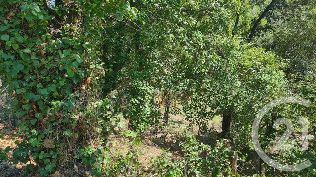 Afficher la photo en grand terrain à vendre - 1654.0 m2 - MAUREILLAS LAS ILLAS - 66 - LANGUEDOC-ROUSSILLON - Century 21 Agence Des Cerisiers