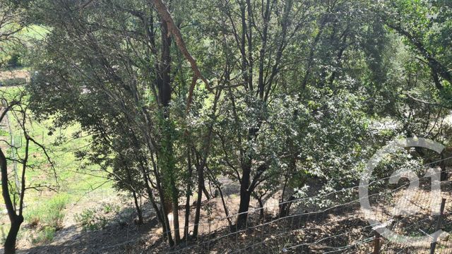 Afficher la photo en grand terrain à vendre - 1654.0 m2 - MAUREILLAS LAS ILLAS - 66 - LANGUEDOC-ROUSSILLON - Century 21 Agence Des Cerisiers