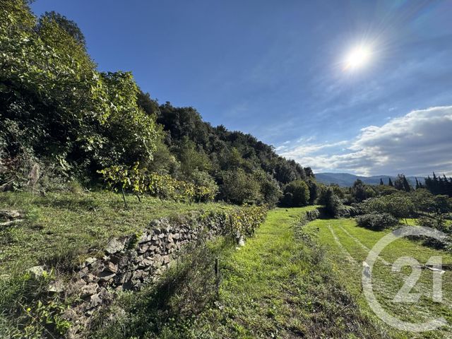 maison à vendre - 6 pièces - 172.0 m2 - ARLES SUR TECH - 66 - LANGUEDOC-ROUSSILLON - Century 21 Agence Des Cerisiers