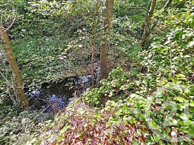 maison à vendre - 3 pièces - 42.36 m2 - REYNES - 66 - LANGUEDOC-ROUSSILLON - Century 21 Agence Des Cerisiers