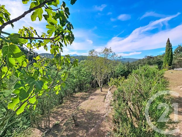 maison à vendre - 3 pièces - 42.36 m2 - REYNES - 66 - LANGUEDOC-ROUSSILLON - Century 21 Agence Des Cerisiers