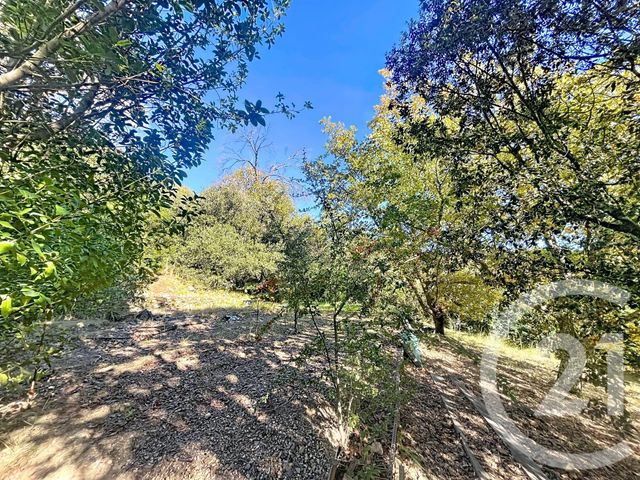 maison à vendre - 5 pièces - 172.26 m2 - REYNES - 66 - LANGUEDOC-ROUSSILLON - Century 21 Agence Des Cerisiers