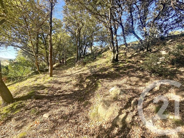 maison à vendre - 5 pièces - 172.26 m2 - REYNES - 66 - LANGUEDOC-ROUSSILLON - Century 21 Agence Des Cerisiers