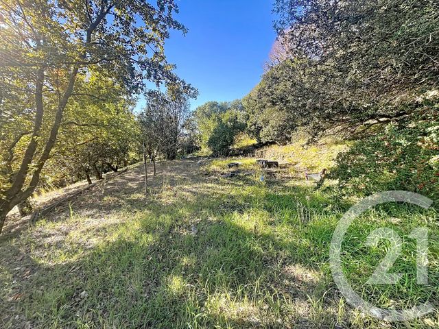 maison à vendre - 5 pièces - 172.26 m2 - REYNES - 66 - LANGUEDOC-ROUSSILLON - Century 21 Agence Des Cerisiers