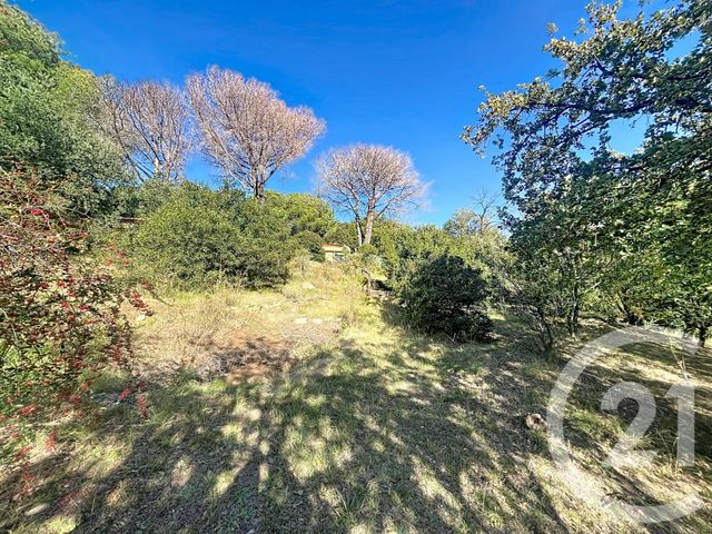 maison à vendre - 5 pièces - 172.26 m2 - REYNES - 66 - LANGUEDOC-ROUSSILLON - Century 21 Agence Des Cerisiers