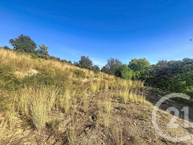 maison à vendre - 5 pièces - 172.26 m2 - REYNES - 66 - LANGUEDOC-ROUSSILLON - Century 21 Agence Des Cerisiers