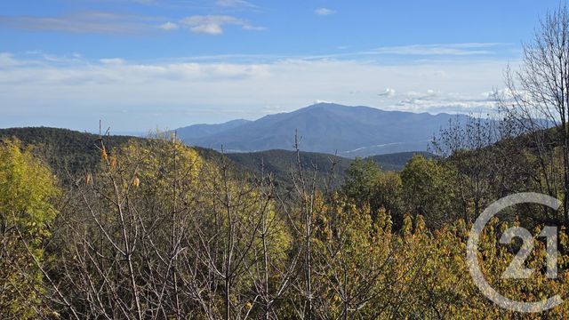 maison à vendre - 3 pièces - 72.5 m2 - TAILLET - 66 - LANGUEDOC-ROUSSILLON - Century 21 Agence Des Cerisiers