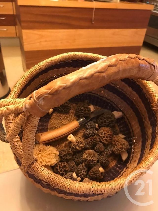 maison à vendre - 6 pièces - 259.5 m2 - ARLES SUR TECH - 66 - LANGUEDOC-ROUSSILLON - Century 21 Agence Des Cerisiers