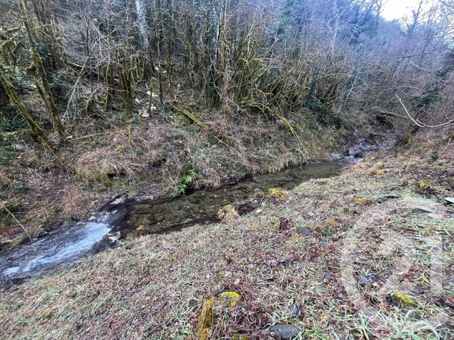 maison à vendre - 6 pièces - 259.5 m2 - ARLES SUR TECH - 66 - LANGUEDOC-ROUSSILLON - Century 21 Agence Des Cerisiers