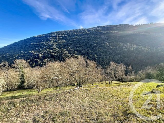 maison à vendre - 6 pièces - 259.5 m2 - ARLES SUR TECH - 66 - LANGUEDOC-ROUSSILLON - Century 21 Agence Des Cerisiers