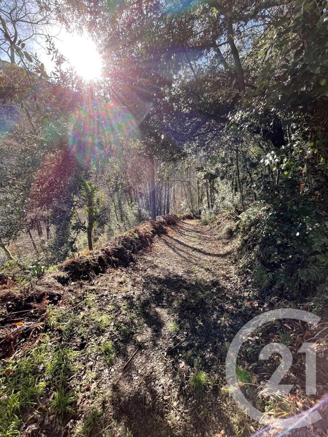 maison à vendre - 6 pièces - 259.5 m2 - ARLES SUR TECH - 66 - LANGUEDOC-ROUSSILLON - Century 21 Agence Des Cerisiers