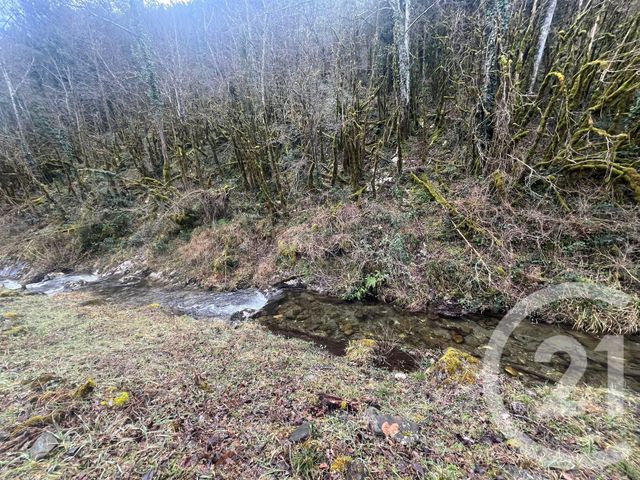 maison à vendre - 6 pièces - 259.5 m2 - ARLES SUR TECH - 66 - LANGUEDOC-ROUSSILLON - Century 21 Agence Des Cerisiers