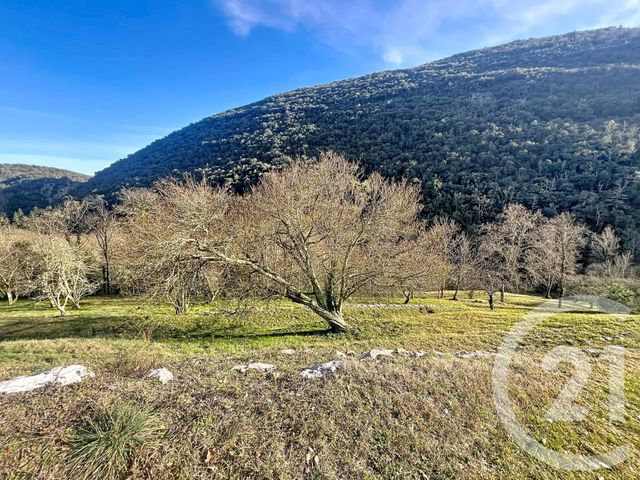 maison à vendre - 6 pièces - 259.5 m2 - ARLES SUR TECH - 66 - LANGUEDOC-ROUSSILLON - Century 21 Agence Des Cerisiers