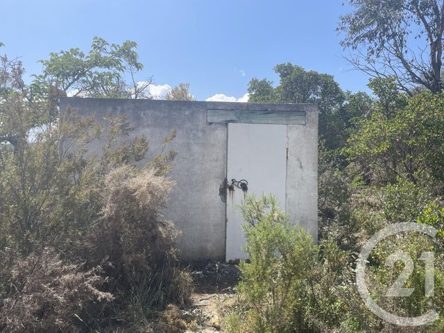 terrain à vendre - 13479.0 m2 - LLAURO - 66 - LANGUEDOC-ROUSSILLON - Century 21 Agence Des Cerisiers