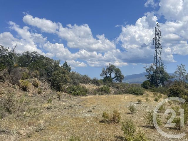 terrain à vendre - 13479.0 m2 - LLAURO - 66 - LANGUEDOC-ROUSSILLON - Century 21 Agence Des Cerisiers