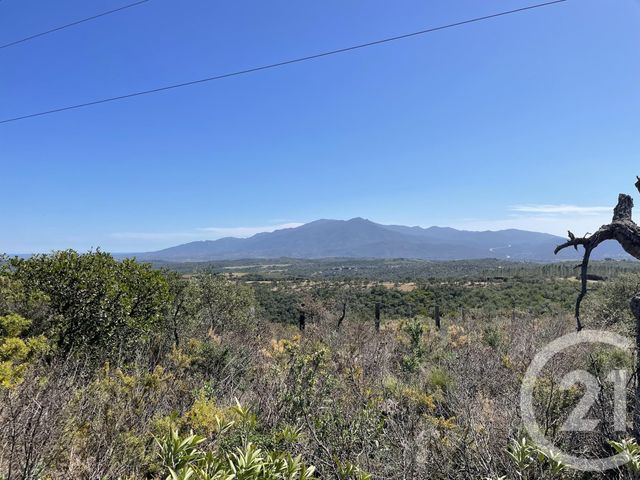 terrain à vendre - 13479.0 m2 - LLAURO - 66 - LANGUEDOC-ROUSSILLON - Century 21 Agence Des Cerisiers
