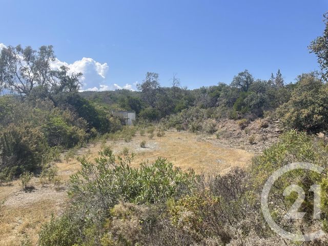 terrain à vendre - 13479.0 m2 - LLAURO - 66 - LANGUEDOC-ROUSSILLON - Century 21 Agence Des Cerisiers
