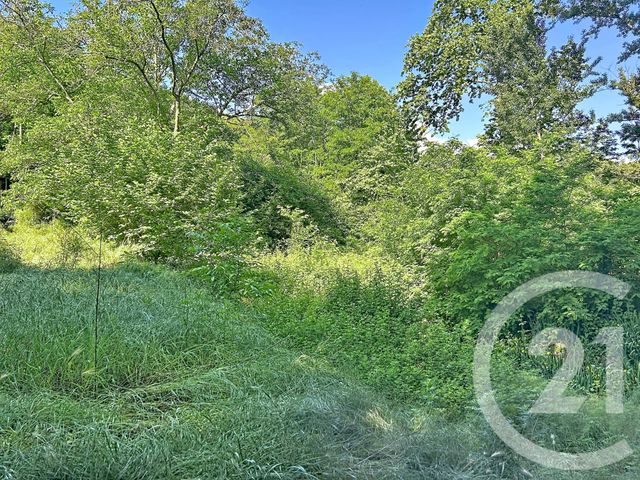 maison à vendre - 3 pièces - 72.47 m2 - REYNES - 66 - LANGUEDOC-ROUSSILLON - Century 21 Agence Des Cerisiers