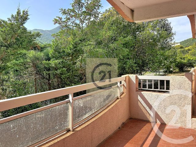 appartement - AMELIE LES BAINS PALALDA - 66