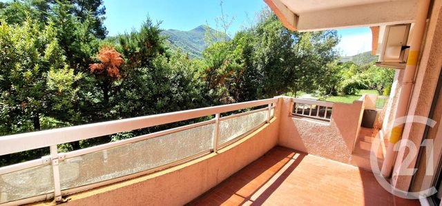 appartement - AMELIE LES BAINS PALALDA - 66
