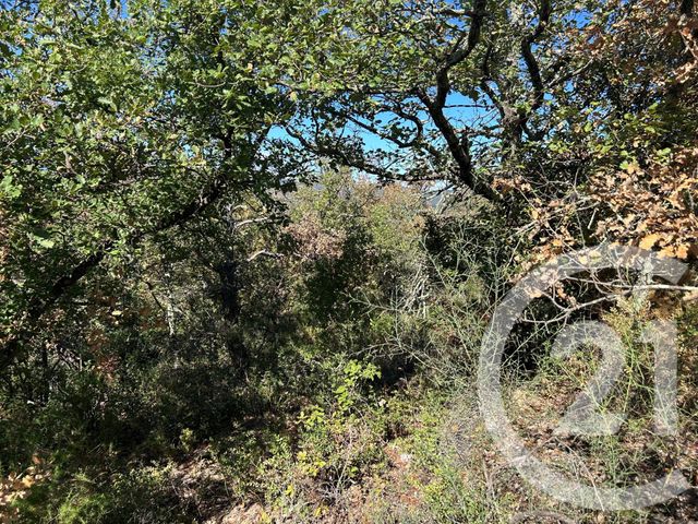 terrain à vendre - 5496.0 m2 - CERET - 66 - LANGUEDOC-ROUSSILLON - Century 21 Agence Des Cerisiers