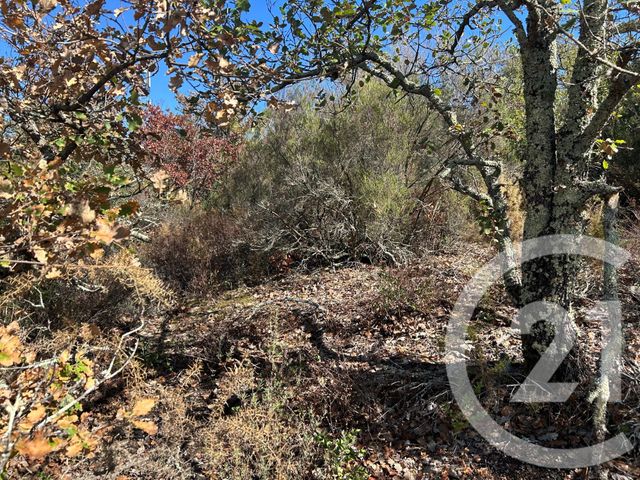 terrain à vendre - 5496.0 m2 - CERET - 66 - LANGUEDOC-ROUSSILLON - Century 21 Agence Des Cerisiers