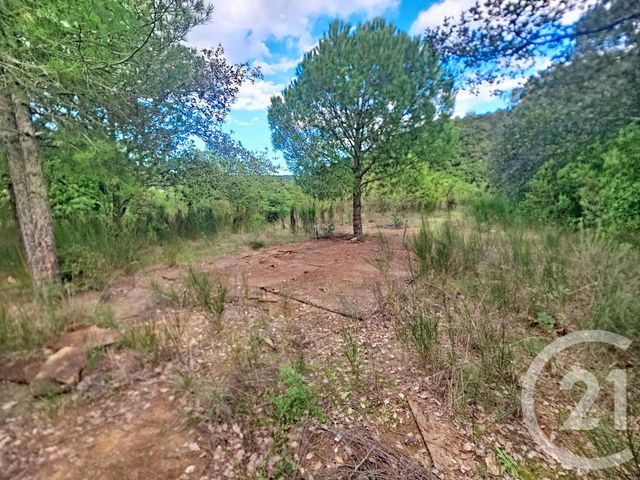 terrain à vendre - 8484.0 m2 - REYNES - 66 - LANGUEDOC-ROUSSILLON - Century 21 Agence Des Cerisiers