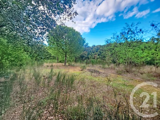 terrain à vendre - 8484.0 m2 - REYNES - 66 - LANGUEDOC-ROUSSILLON - Century 21 Agence Des Cerisiers